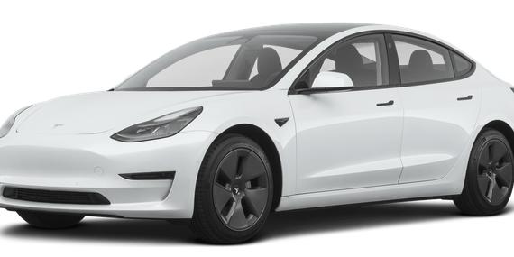 TESLA MODEL 3 2021 5YJ3E1EA3MF059783 image